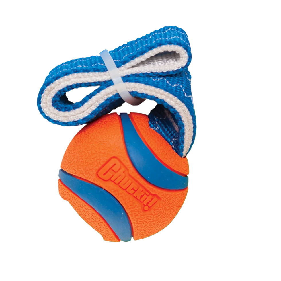 Zerrspielzeug für Hunde mit Tennisball und Band, ø 5 cm – Chuckit! Ultra Tug S – Bild 2