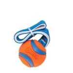Zerrspielzeug für Hunde mit Tennisball und Band, ø 6 cm – Chuckit! Ultra Tug M – Bild 2