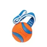 Zerrspielzeug für Hunde mit Tennisball und Band, ø 7 cm – Chuckit! Ultra Tug L – Bild 3