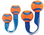 Zerrspielzeug für Hunde mit 2 Tennisbällen und Nylonband, ø 5 cm – Chuckit! Ultra Duo Tug S – Bild 5