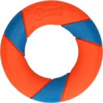 Apportierring mit unvorhersehbarem Sprungverhalten, 12,5 cm – Chuckit! UltraRing – Bild 2