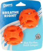 Apportierball für Hunde, schwimmend, Ø 6 cm, 2 Stück – Chuckit! Air Fetch Ball