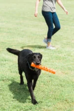Apportierstock aus weichem Gummi, schwimmfähig, 31 cm – Chuckit! Air Fetch Stick – Bild 5