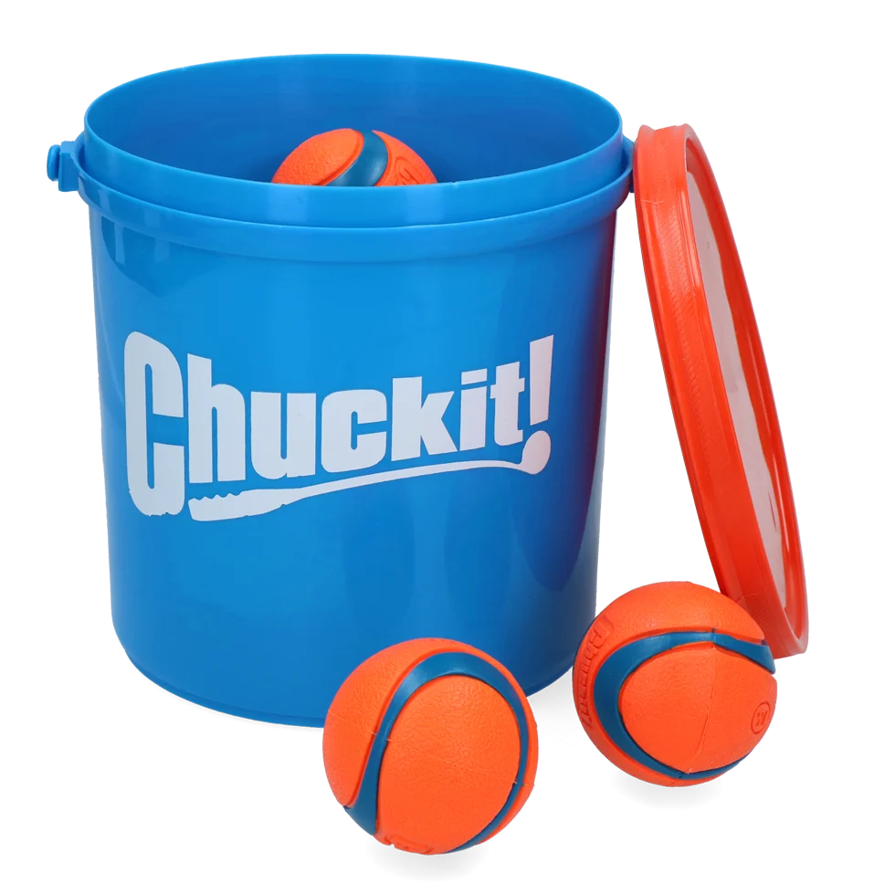 Hundeball Set mit Eimer und Ablauflöchern, 8 Bälle M – Chuckit! Bucket – Bild 2