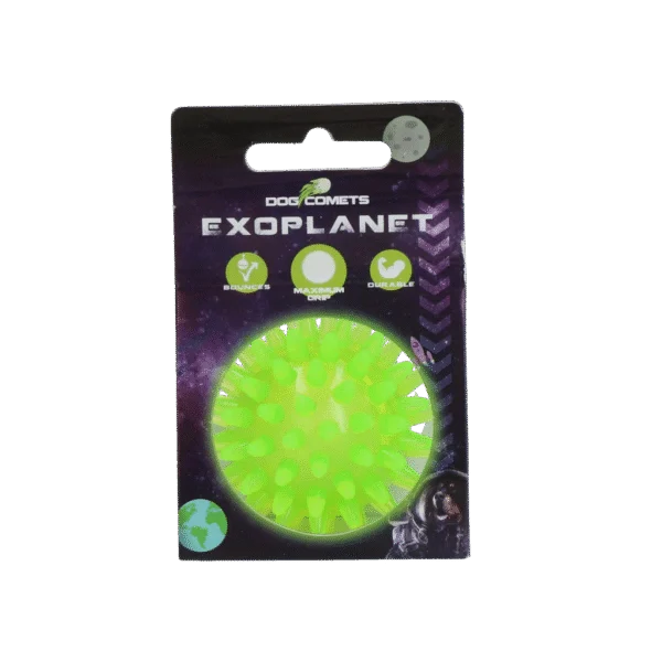 Hundeball mit Noppen und Quietscher, S 5 cm, Grün – Dog Comets Exoplanet