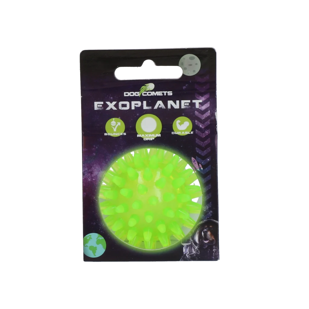 COME016C.png Hundeball mit Noppen und Quietscher, S 5 cm, Grün – Dog Comets Exoplanet – Bild 1