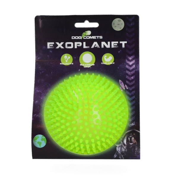 Igelball für Hunde mit Quietscher, Grün L, 10,5 cm – Dog Comets Exoplanet