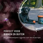 Hundebälle aus Gummi mit Eimer, 6 Stück M – Dog Comets Meteor Shower – Bild 2