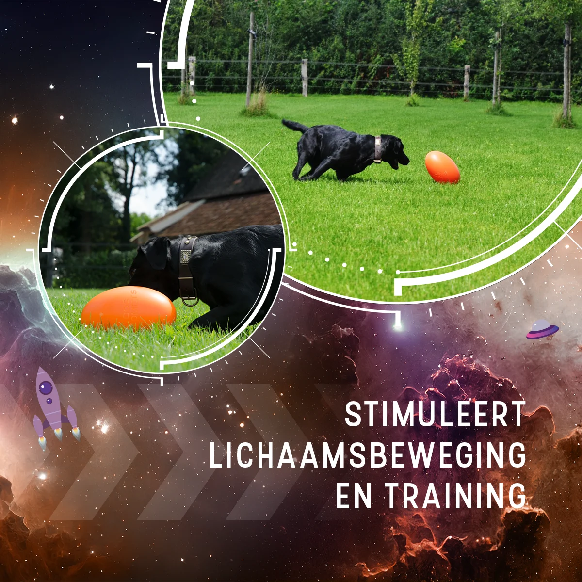 Apportierspielzeug für Hunde, schwimmfähig, 20 cm, Orange – Dog Comets Pan-Stars – Bild 6