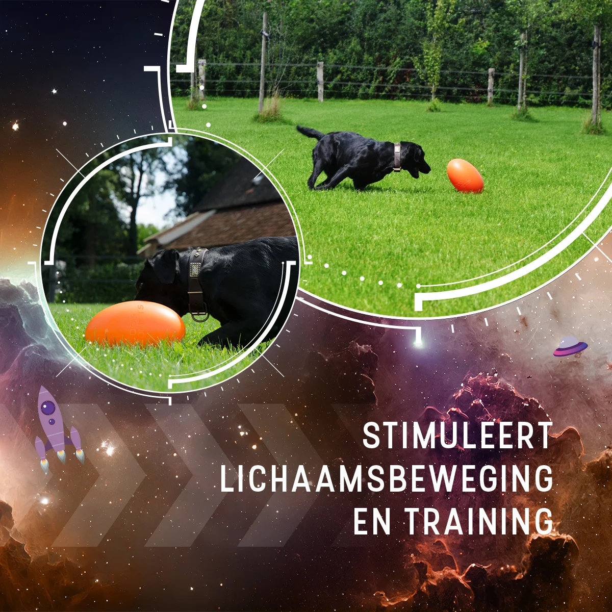Apportierspielzeug für Hunde, schwimmfähig, 30 cm, Orange – Dog Comets Pan-Stars – Bild 5
