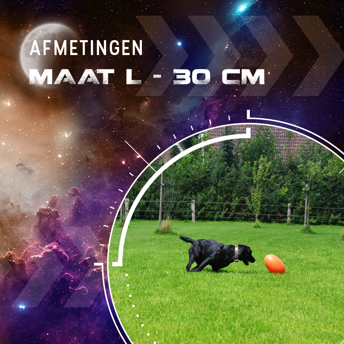 Apportierspielzeug für Hunde, schwimmfähig, 30 cm, Orange – Dog Comets Pan-Stars – Bild 3