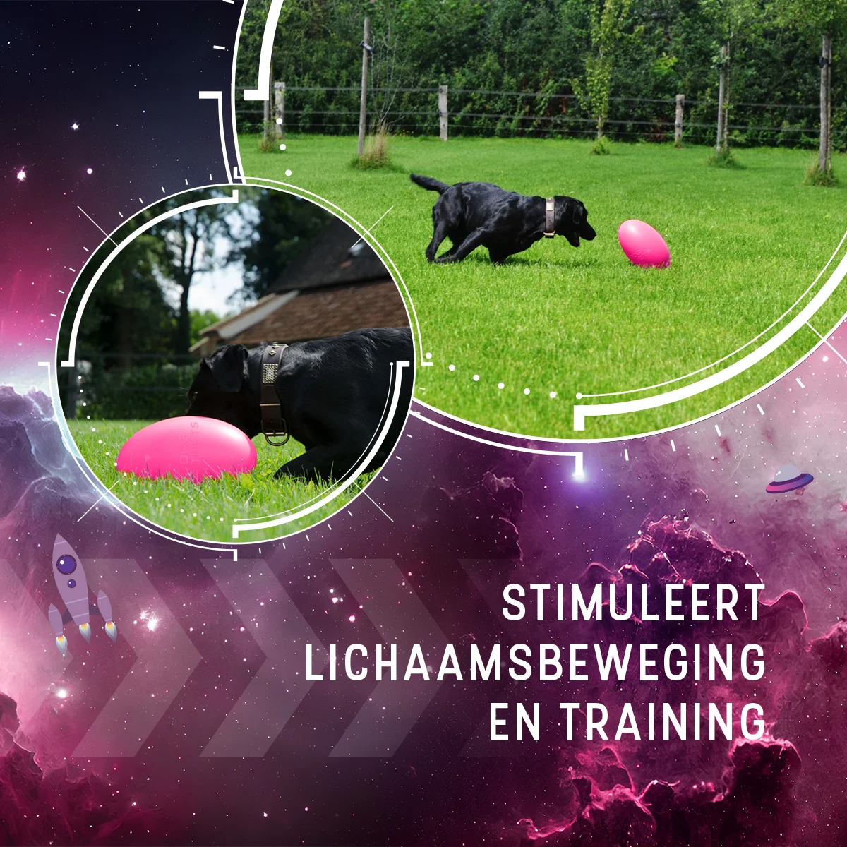 Apportierspielzeug für Hunde, schwimmfähig, 20 cm, Rosa – Dog Comets Pan-Stars – Bild 5