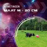 Apportierspielzeug für Hunde, schwimmfähig, 20 cm, Rosa – Dog Comets Pan-Stars – Bild 3