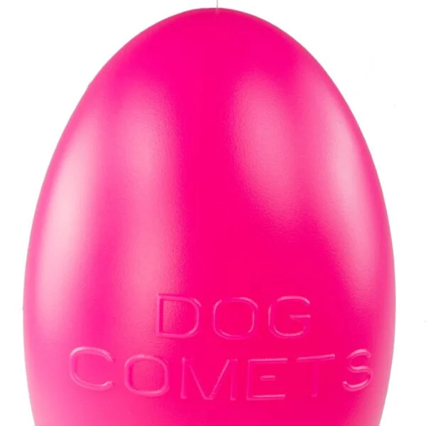 Apportierspielzeug für Hunde, schwimmfähig, 30 cm, Rosa – Dog Comets Pan-Stars