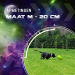 Apportierspielzeug für Hunde, schwimmfähig, 20 cm, Grün – Dog Comets Pan-Stars – Bild 3
