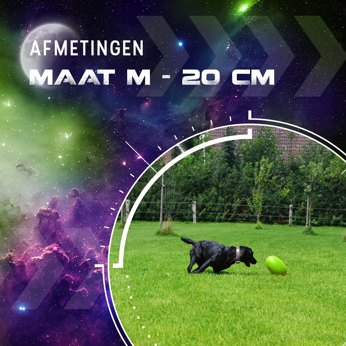 Apportierspielzeug für Hunde, schwimmfähig, 20 cm, Grün – Dog Comets Pan-Stars – Bild 3