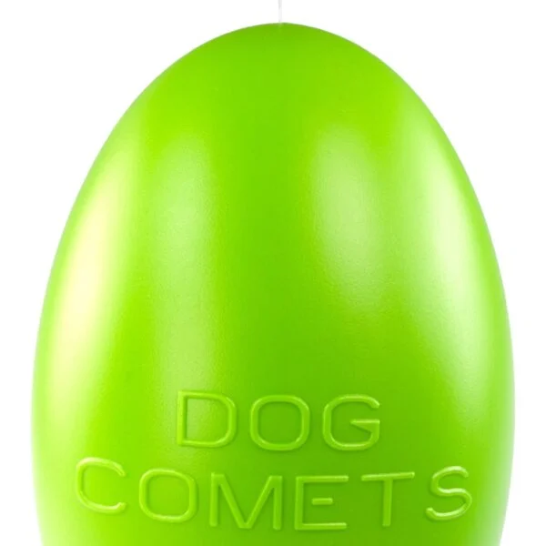 Apportierspielzeug für Hunde, schwimmfähig, 30 cm, Grün – Dog Comets Pan-Stars