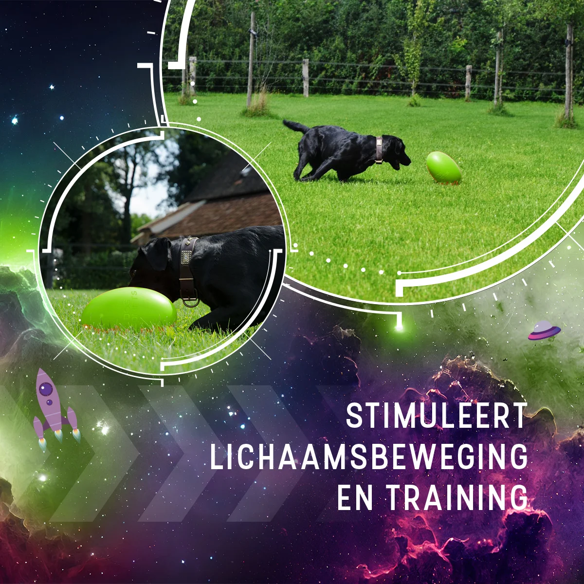 Apportierspielzeug für Hunde, schwimmfähig, 20 cm, Grün – Dog Comets Pan-Stars – Bild 5