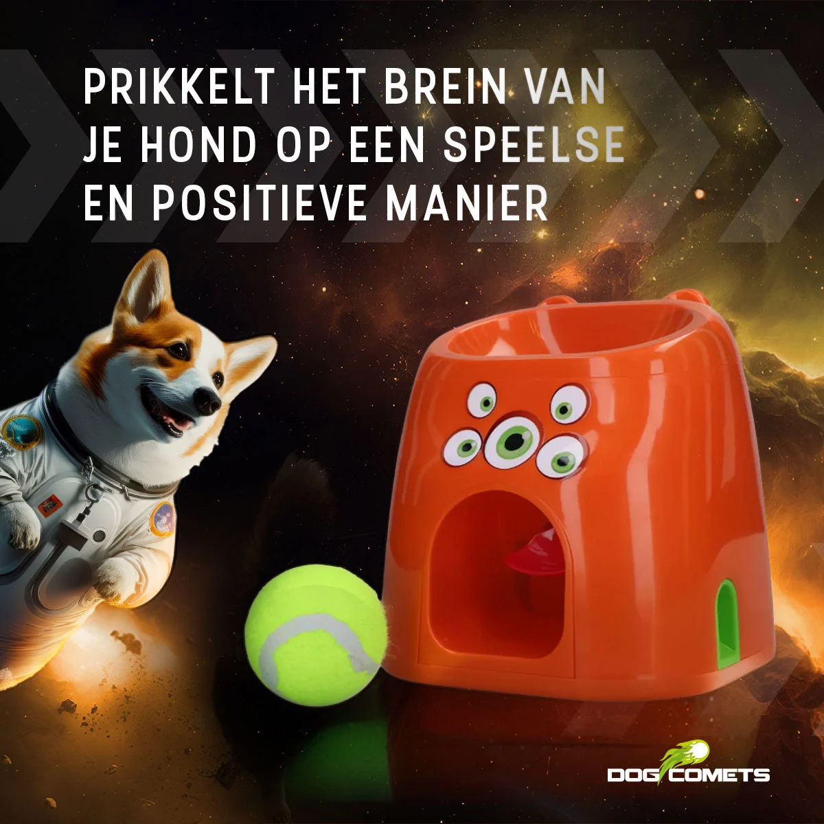 Apportierspiel mit Snackbelohnung, inklusive 1 Tennisball – Dog Comets D1spencer Fetch and Treat – Bild 6