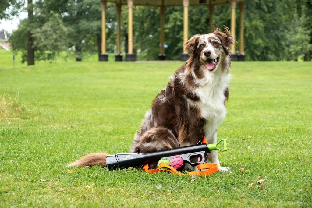 Ballwurfgerät für Hunde mit 2 Tennisbällen, Größe M, 61 × 18 cm – Dog Comets Comet Launcher – Bild 5