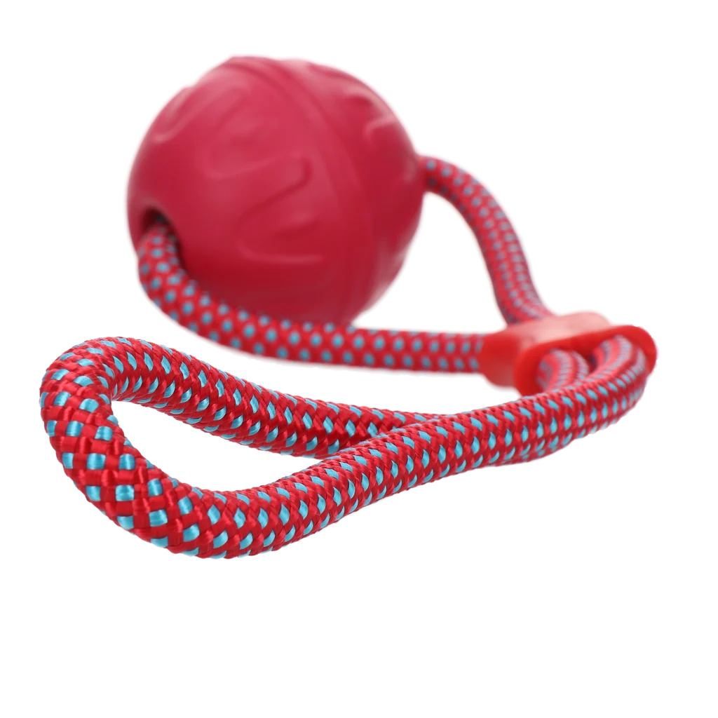 Hundeball mit reflektierendem Seil, schwimmfähig, Rosa – Dog Comets Vortex Loop – Bild 2