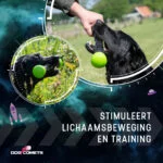 Wurfstock aus Gummi mit Quietscher, S 23 cm, Grün – Dog Comets Meteor – Bild 6
