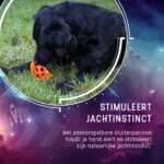 Gummiball für Leckerlis mit Quietscher, Orange – Dog Comets Moonstone – Bild 6