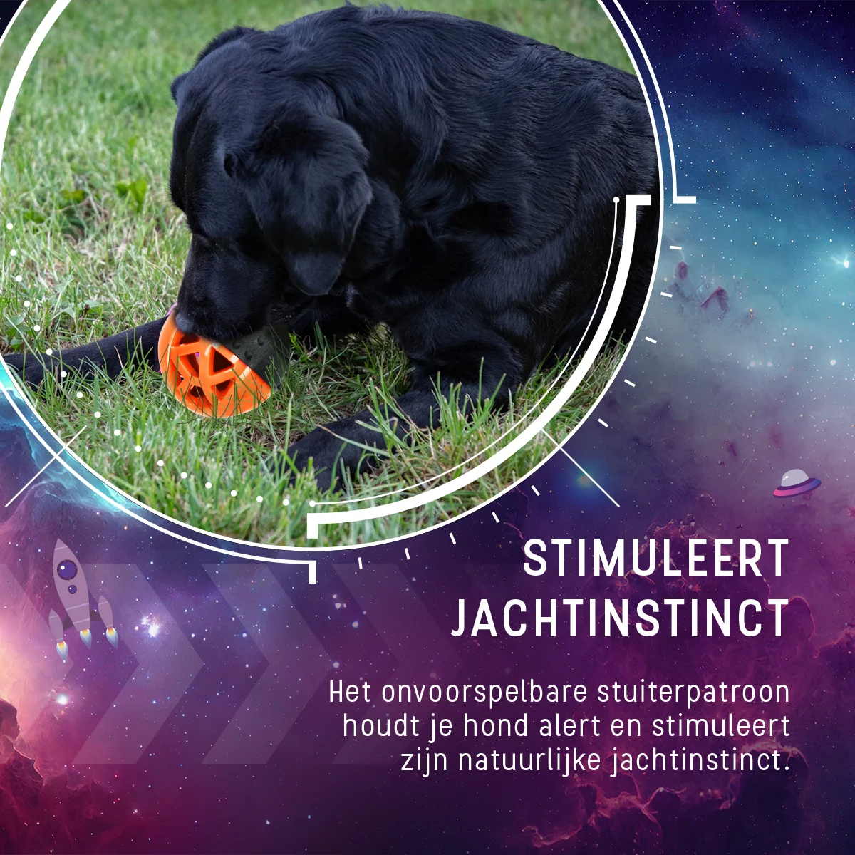 Gummiball für Leckerlis mit Quietscher, Orange – Dog Comets Moonstone – Bild 6