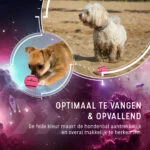 Tennisball für Hunde, schwimmfähig, Ø 7,5 cm, Rosa – Dog Comets Starlight – Bild 4