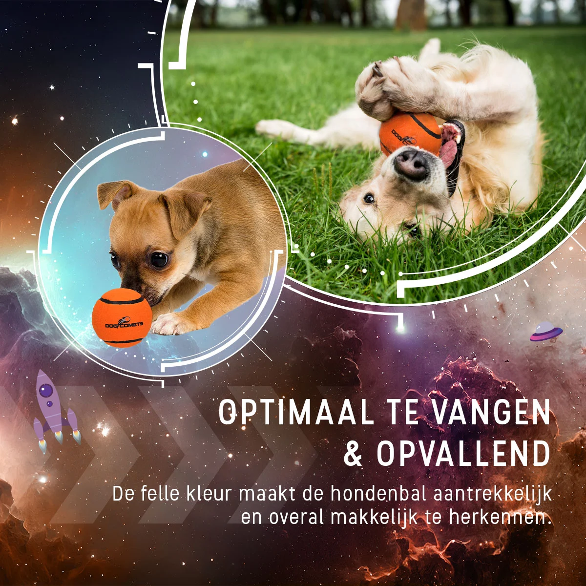 Tennisball für Hunde, schwimmfähig, Orange S, Ø 5 cm – Dog Comets Starlight – Bild 4