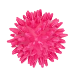 Eiförmiges Apportierspielzeug mit Quietscher und Noppen, Rosa S, Ø 50 x 60 mm – Dog Comets Cosmic Egg – Bild 2