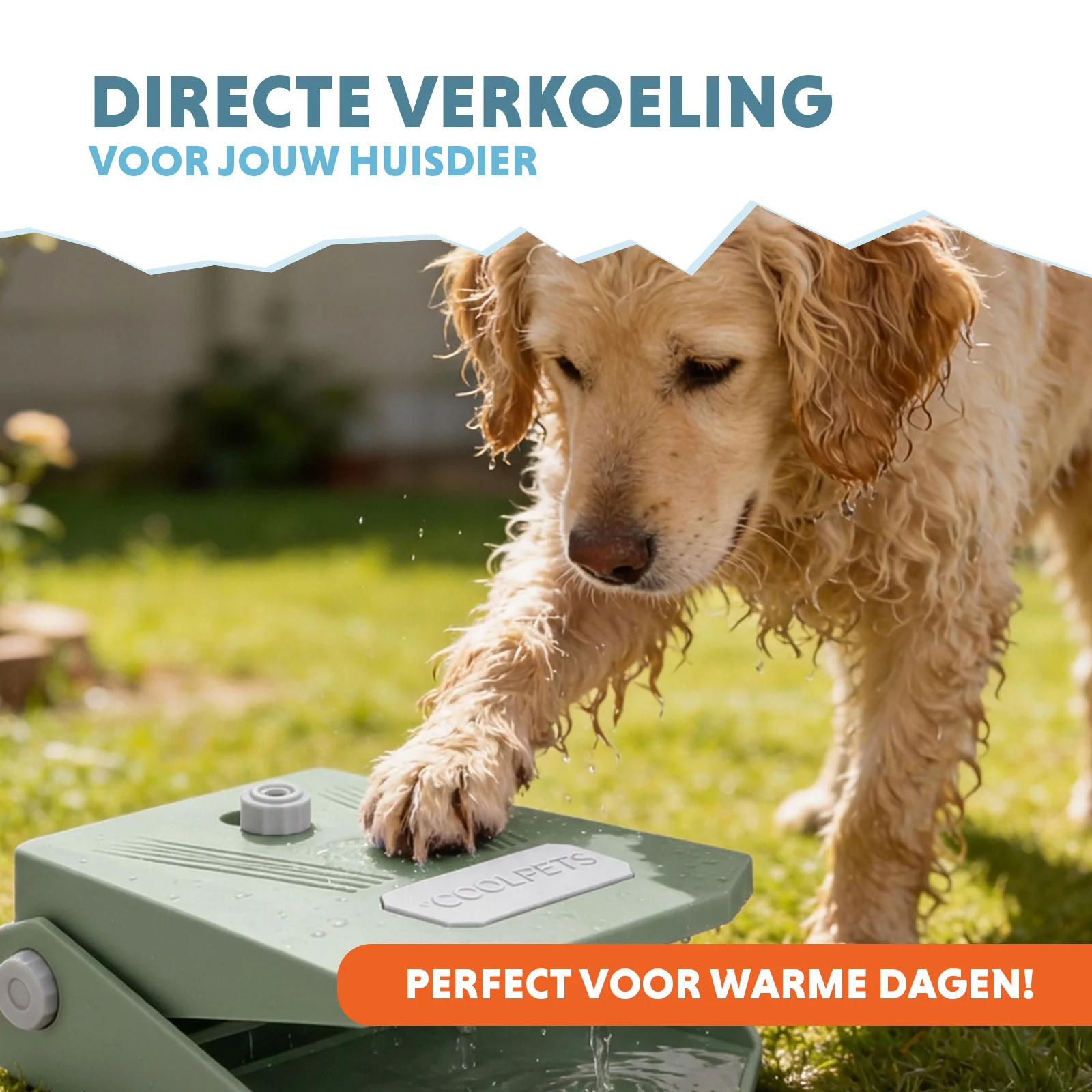 Trinkbrunnen mit Fußpedal und Gartenschlauchanschluss, Olivgrün – Coolpets Splash Water Fountain – Bild 2
