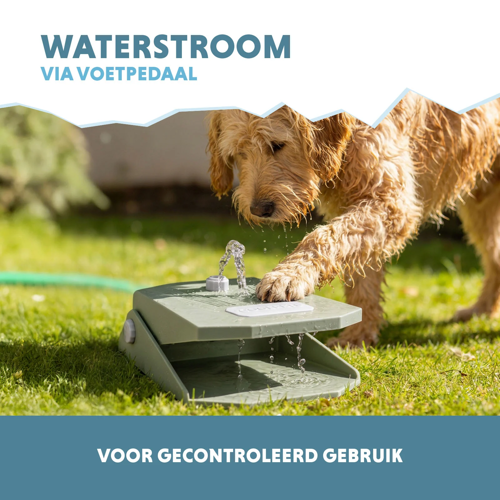 Trinkbrunnen mit Fußpedal und Gartenschlauchanschluss, Olivgrün – Coolpets Splash Water Fountain – Bild 4