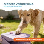 Trinkbrunnen mit Fußpedal und Gartenschlauchanschluss, Lila – Coolpets Splash Water Fountain – Bild 2