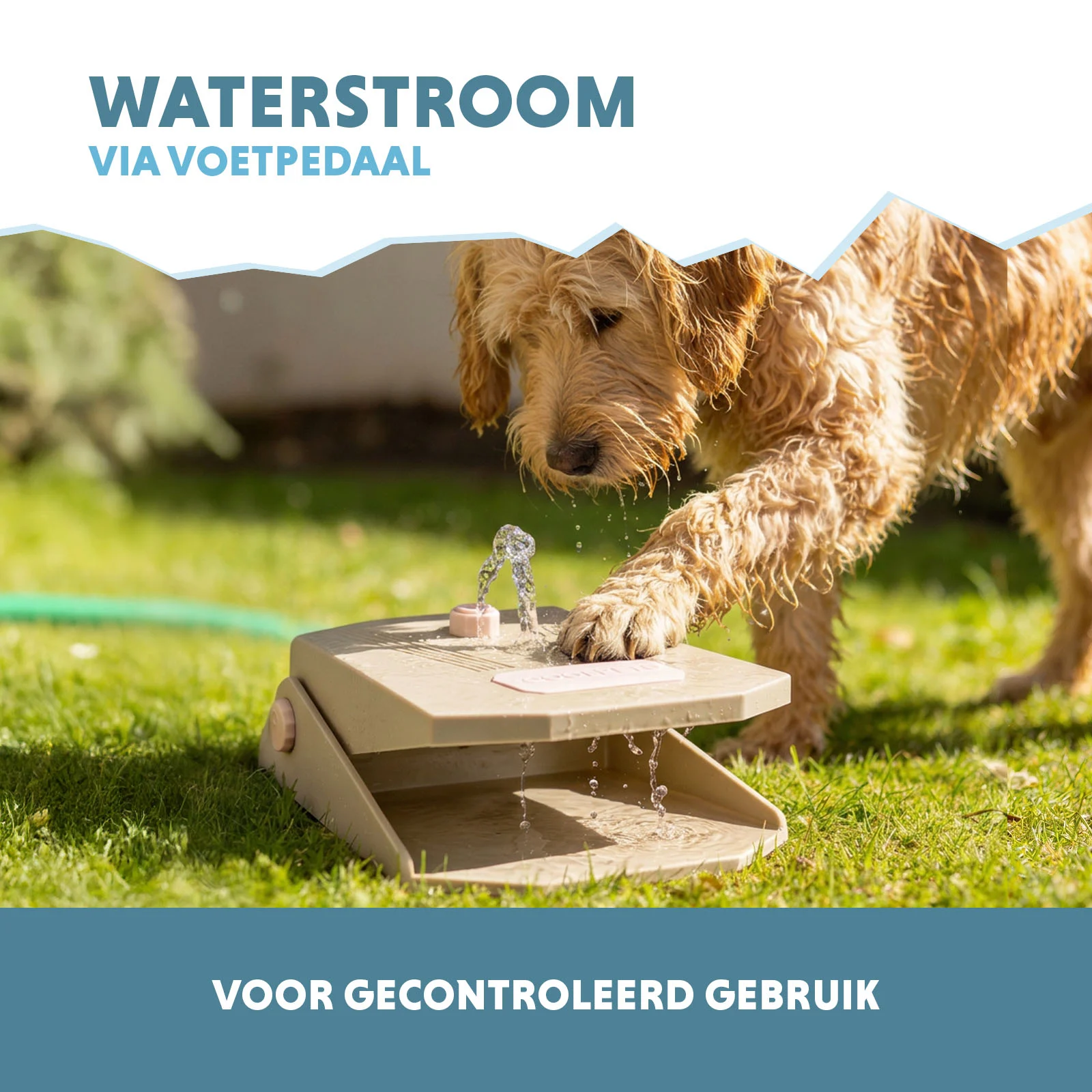 Trinkbrunnen mit Fußpedal und Gartenschlauchanschluss, Beige – Coolpets Splash Water Fountain – Bild 4