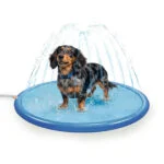 Sprühmatte für Hunde mit Gartenschlauchanschluss, S 100 cm – Coolpets Splash Sprinkler Pad
