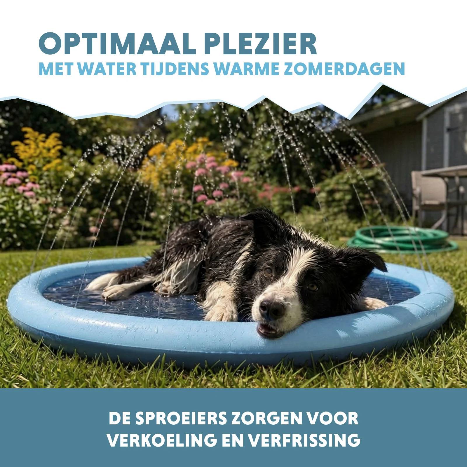 Sprühmatte für Hunde mit Gartenschlauchanschluss, S 100 cm – Coolpets Splash Sprinkler Pad – Bild 4