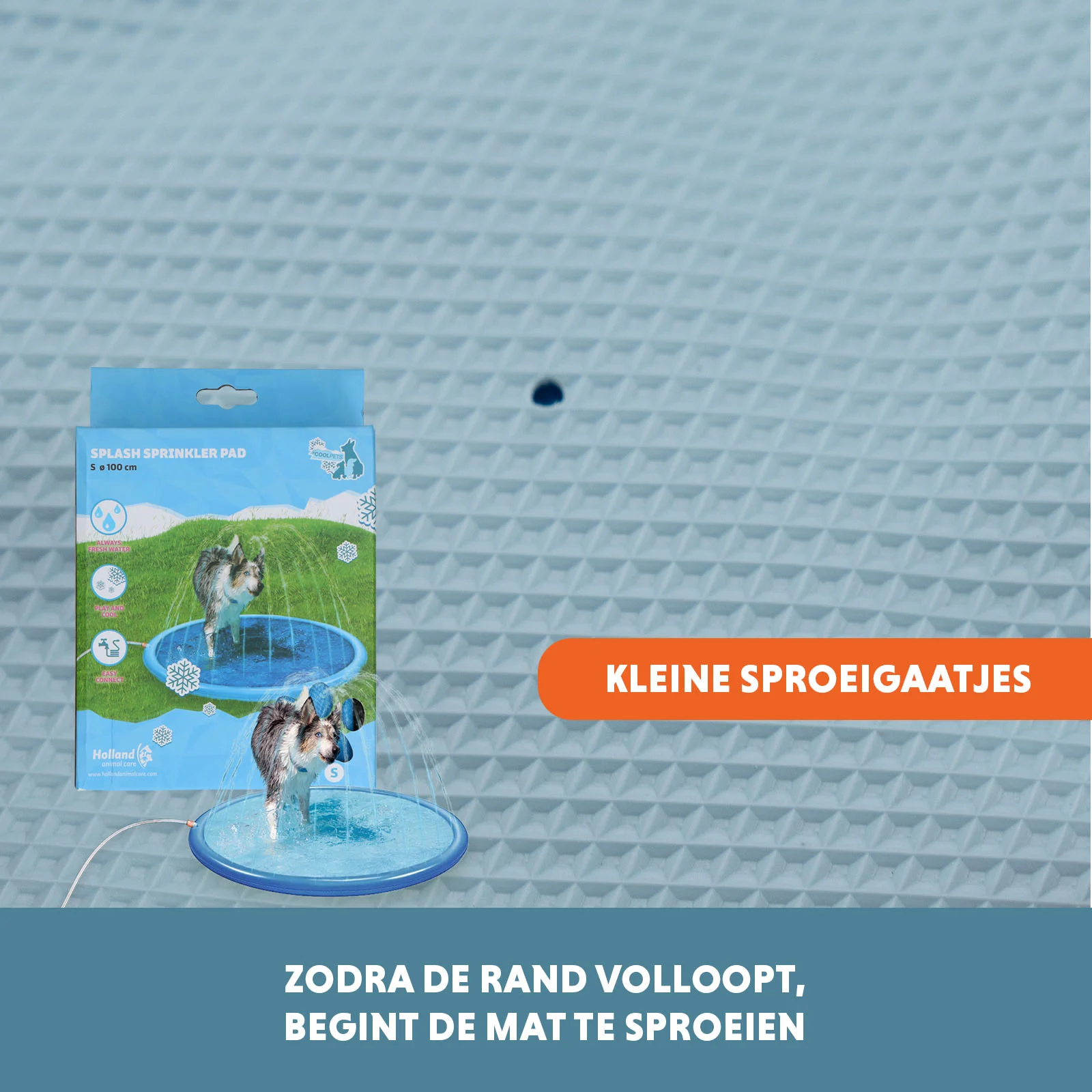 Sprühmatte für Hunde mit Gartenschlauchanschluss, S 100 cm – Coolpets Splash Sprinkler Pad – Bild 5