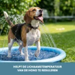 Sprühmatte für Hunde mit Gartenschlauchanschluss, S 100 cm – Coolpets Splash Sprinkler Pad – Bild 6