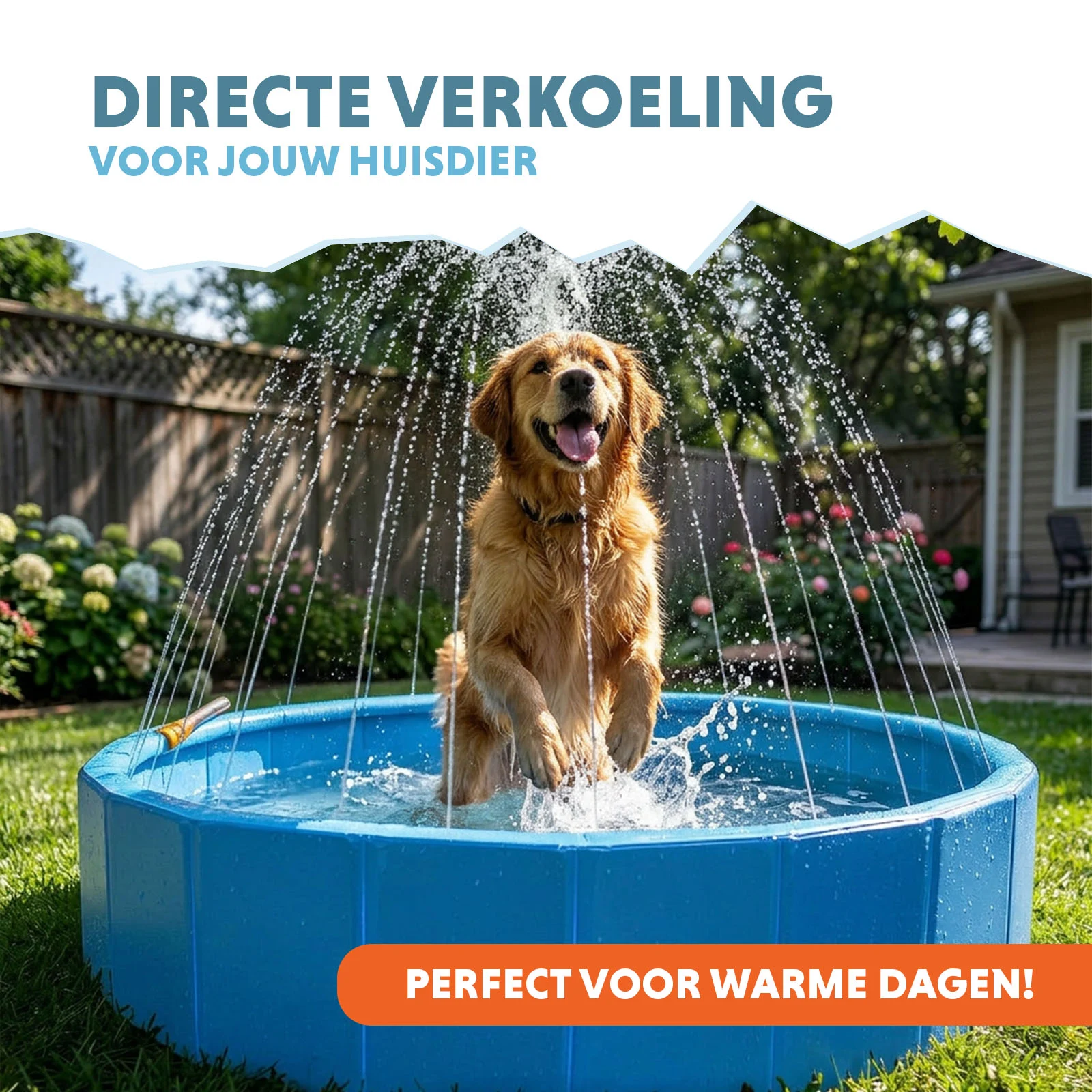 Hundepool mit Sprinklern, Durchmesser 120 cm, Randhöhe 30 cm – Coolpets Splash Sprinkler Pool – Bild 2