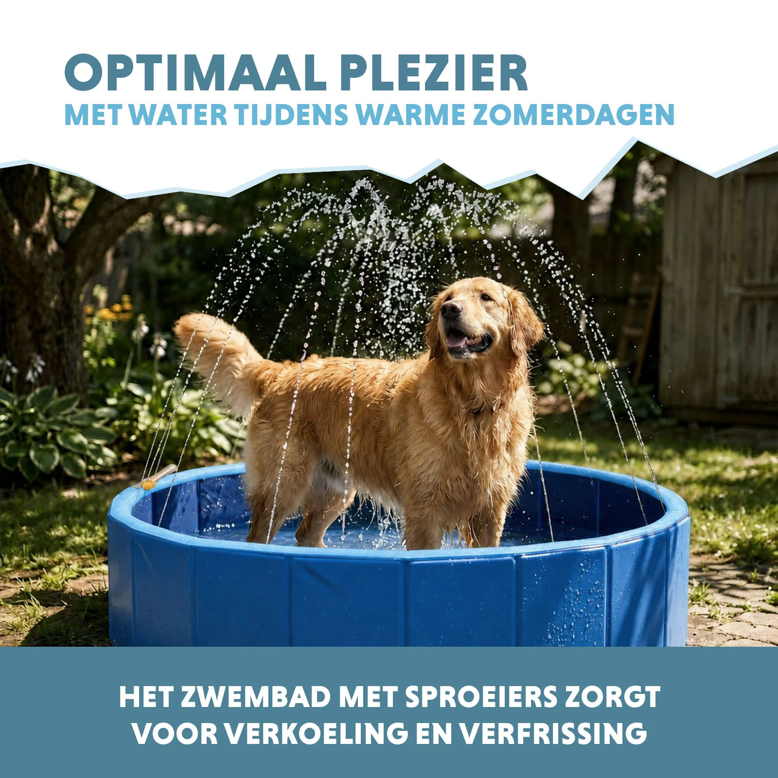 Hundepool mit Sprinklern, Durchmesser 120 cm, Randhöhe 30 cm – Coolpets Splash Sprinkler Pool – Bild 4
