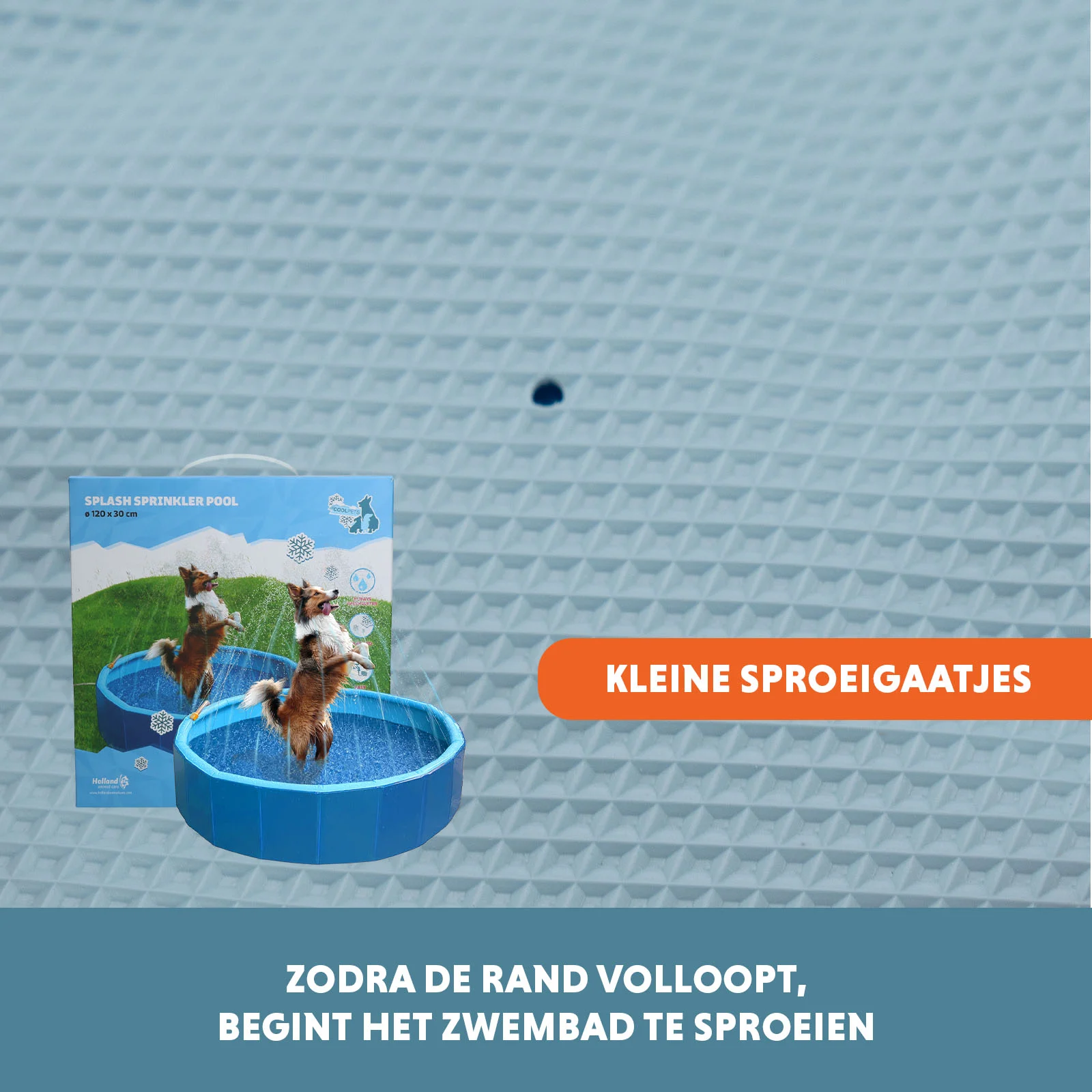 Hundepool mit Sprinklern, Durchmesser 120 cm, Randhöhe 30 cm – Coolpets Splash Sprinkler Pool – Bild 5