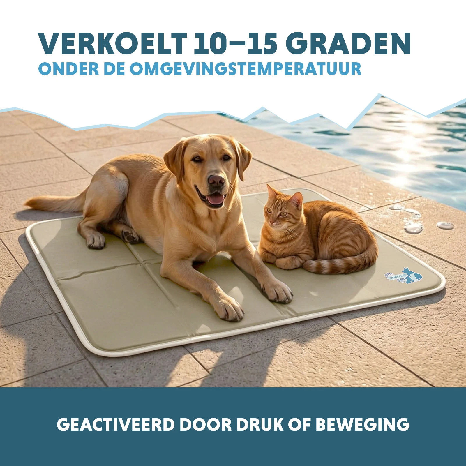 Kühlmatte für Hunde mit fester Gelmasse, Beige, L, 90 x 60 cm – Coolpets Gel Cooling Mat – Bild 4
