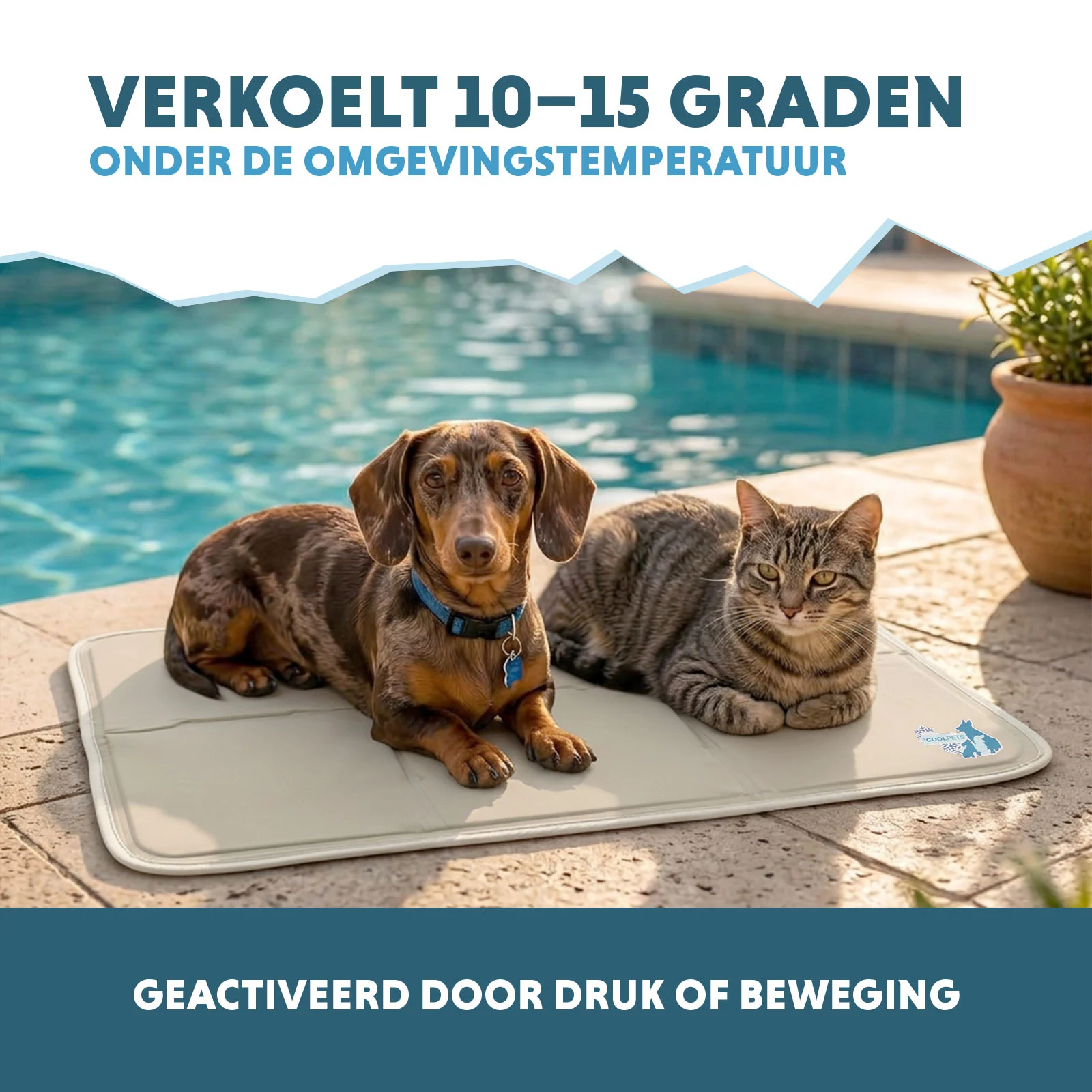 Kühlmatte für Hunde mit festem Gel, Beige, M, 76 x 50 cm – Coolpets Gel Cooling Mat – Bild 4