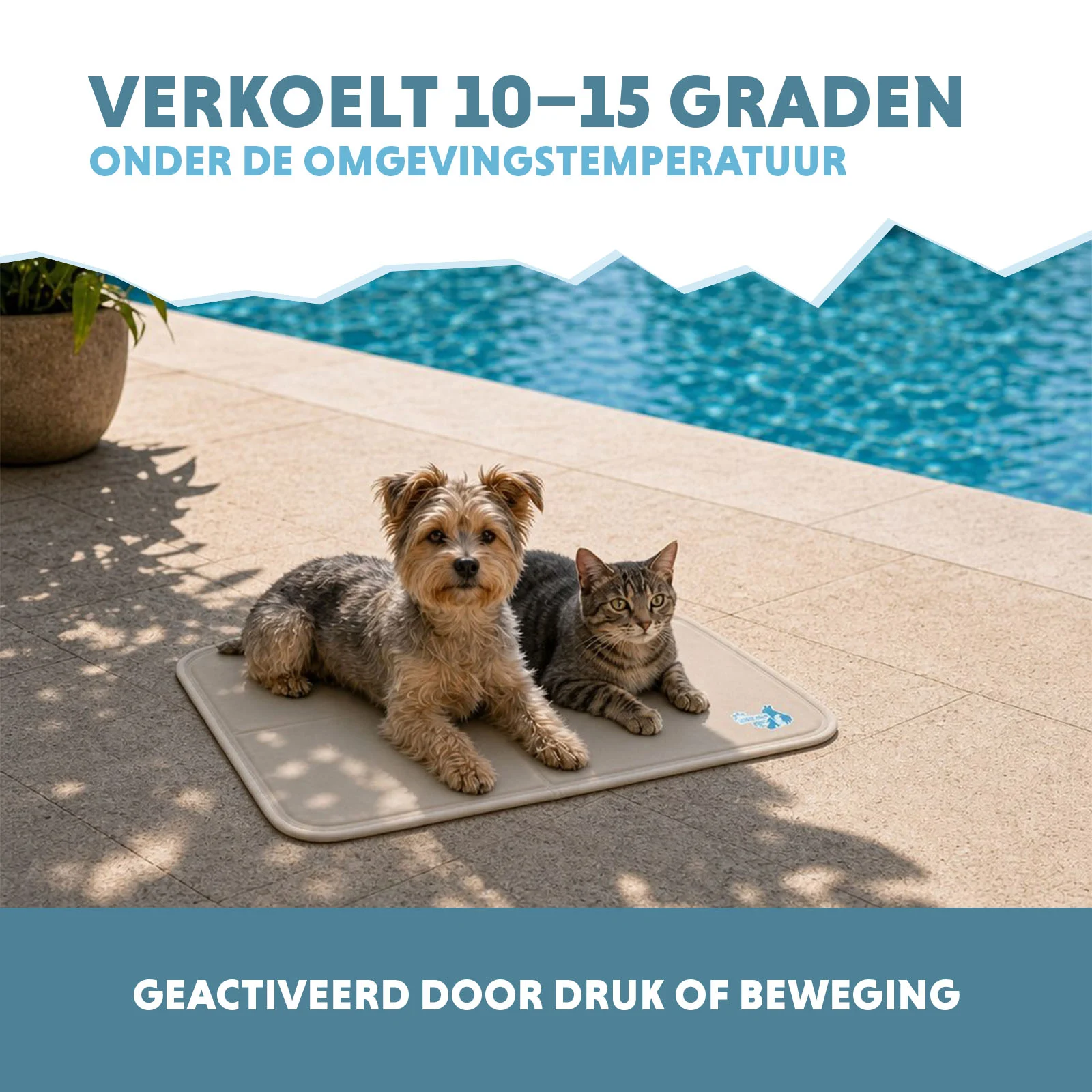 Kühlmatte für Hunde mit fester Gelmasse, Beige, S 50 x 40 cm – Coolpets Gel Cooling Mat – Bild 4
