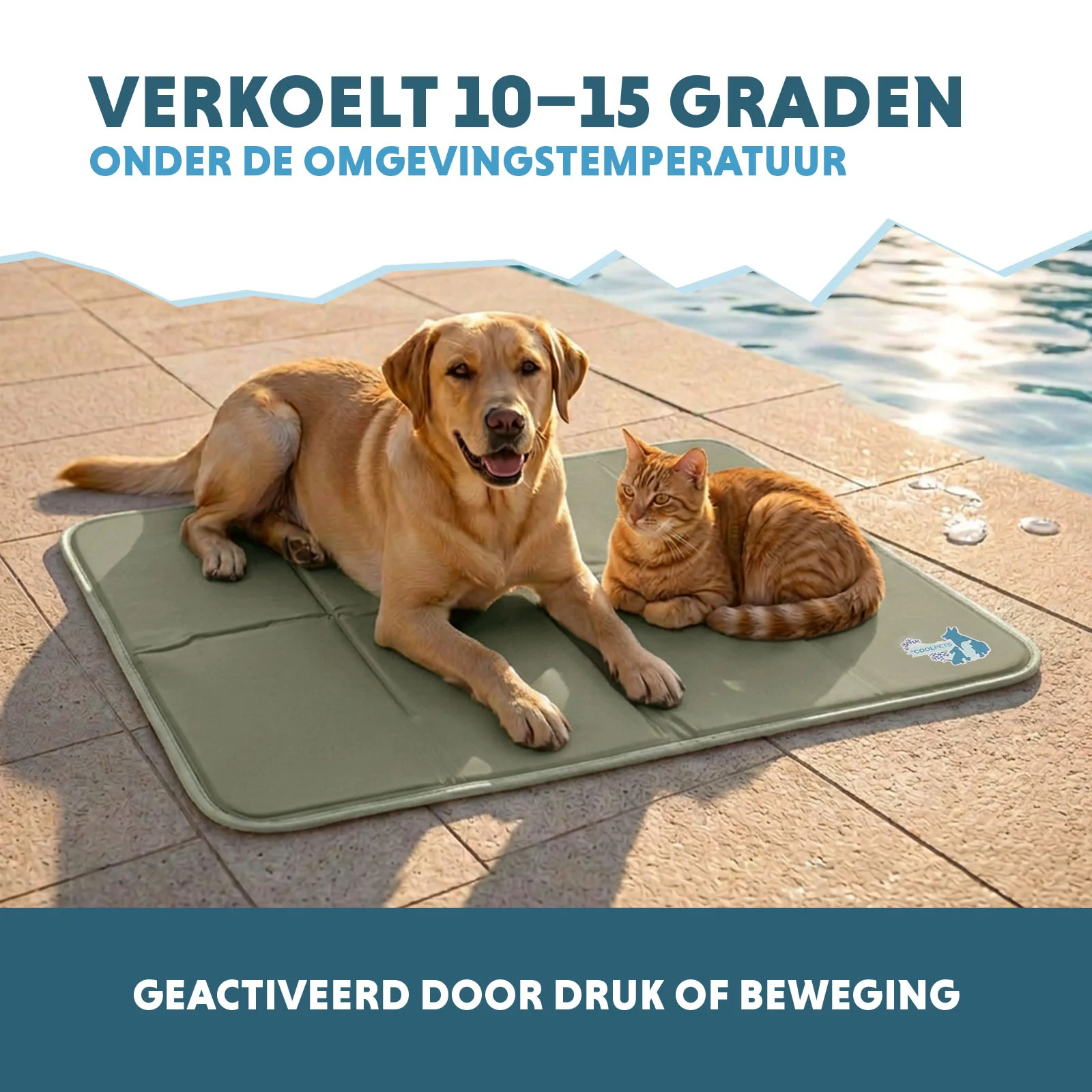 Kühlmatte für Hunde mit festem Gel, Olivgrün, L 90 x 60 cm – Coolpets Gel Cooling Mat – Bild 4