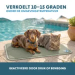 Kühlmatte für Hunde mit festem Gel, Olivgrün, M 76 x 50 cm – Coolpets Gel Cooling Mat – Bild 4