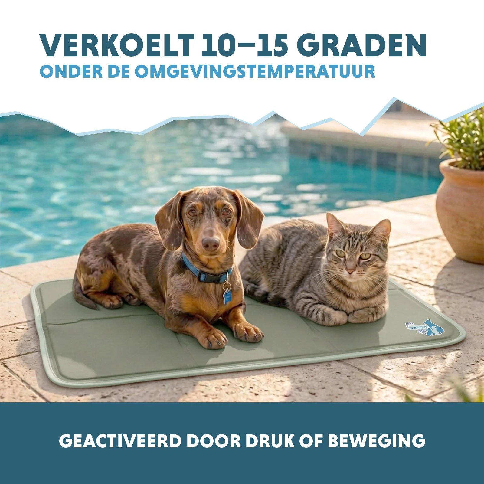 Kühlmatte für Hunde mit festem Gel, Olivgrün, M 76 x 50 cm – Coolpets Gel Cooling Mat – Bild 4