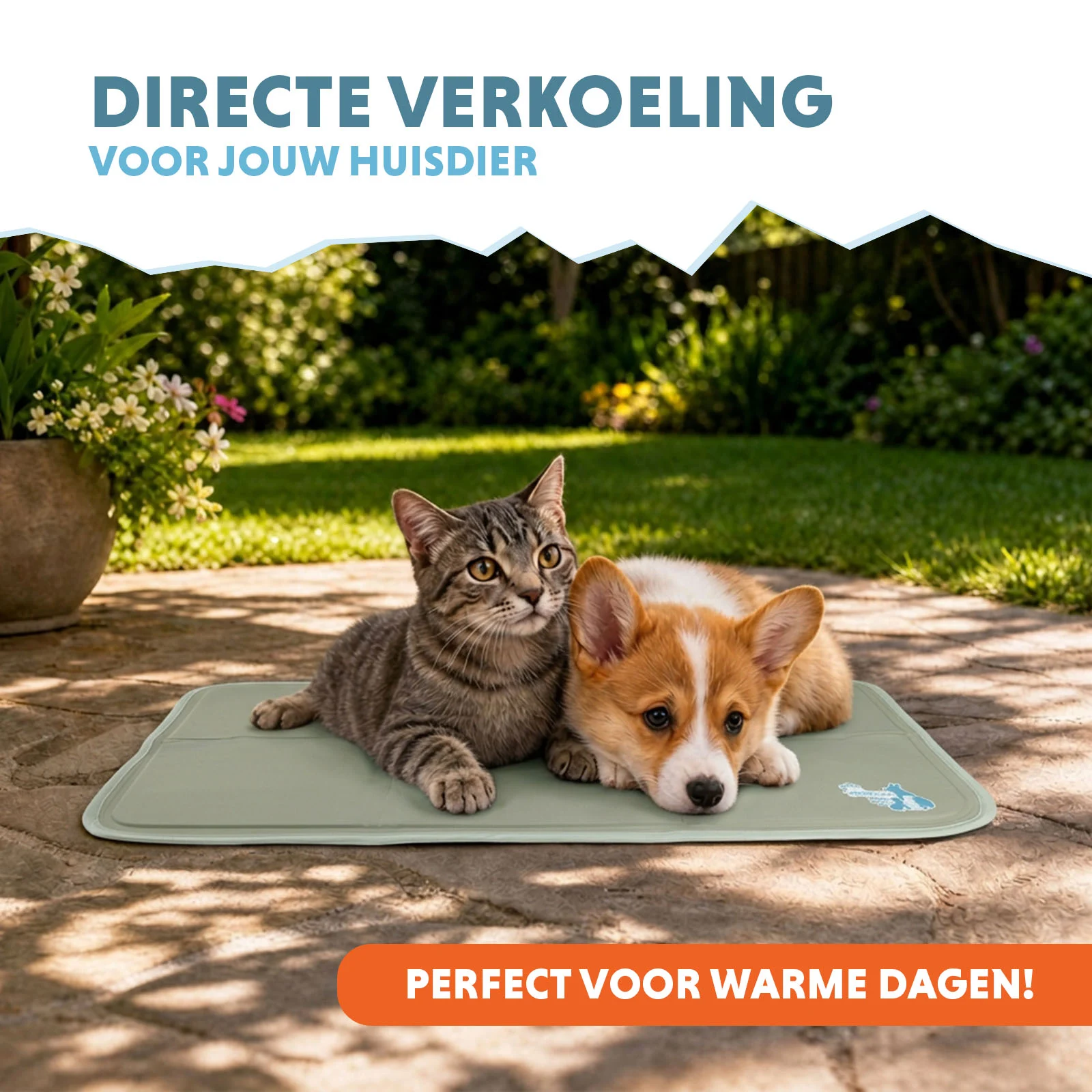 Kühlmatte für Hunde mit festem Gel, Olivgrün, S 50 x 40 cm – Coolpets Gel Cooling Mat – Bild 2