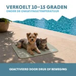 Kühlmatte für Hunde mit festem Gel, Olivgrün, S 50 x 40 cm – Coolpets Gel Cooling Mat – Bild 4